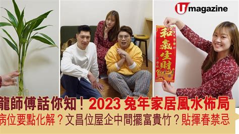 2023文昌位富貴竹|2023兔年風水佈局｜新年6大簡易家居/辦公室風水